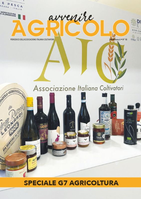 Siracusa Sicilia G7 agricoltura summit 2024